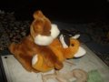 IMGP0758.JPG